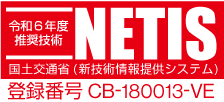 NETIS.png